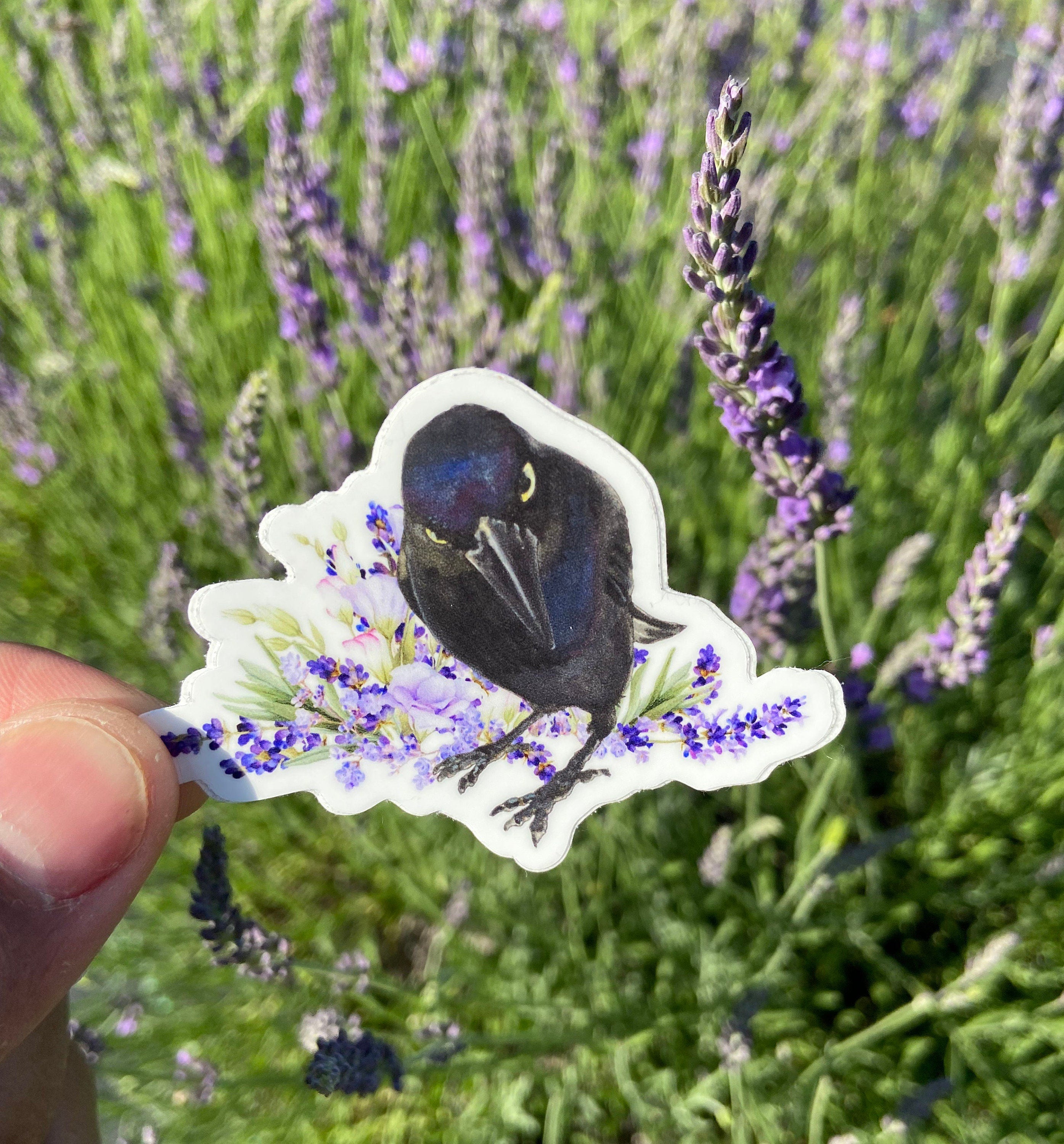 Seriously Crow and Flowers Vinyl Sticker