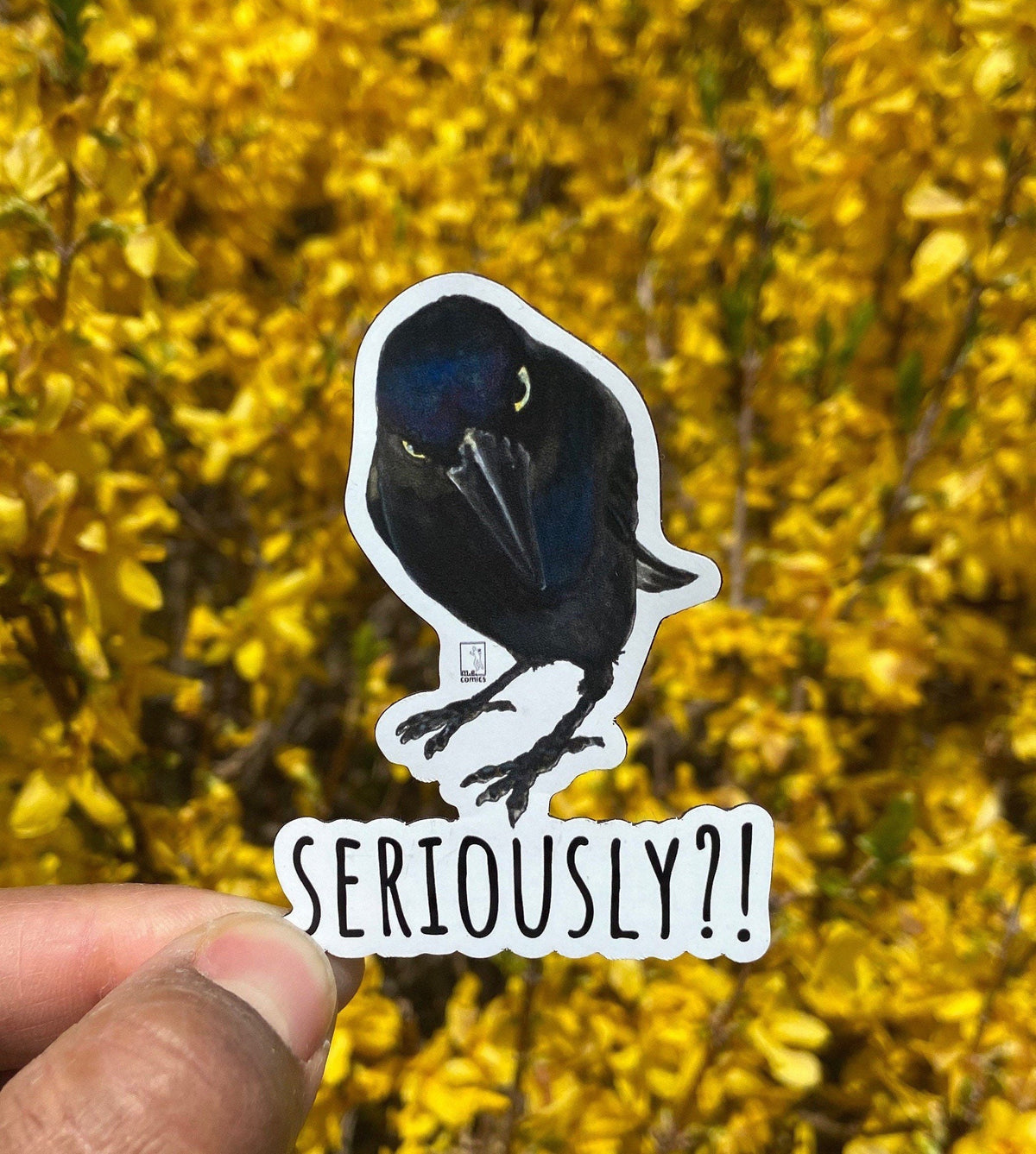 Seriously Crow Magnet: Crow and Raven Art