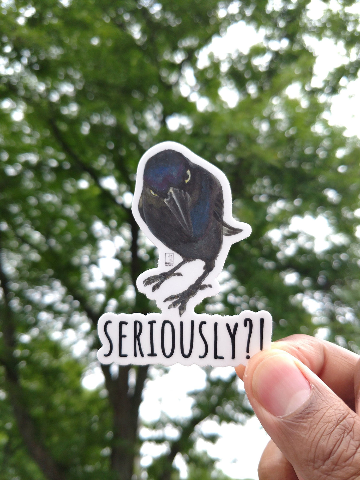 Seriously Crow Magnet: Crow and Raven Art