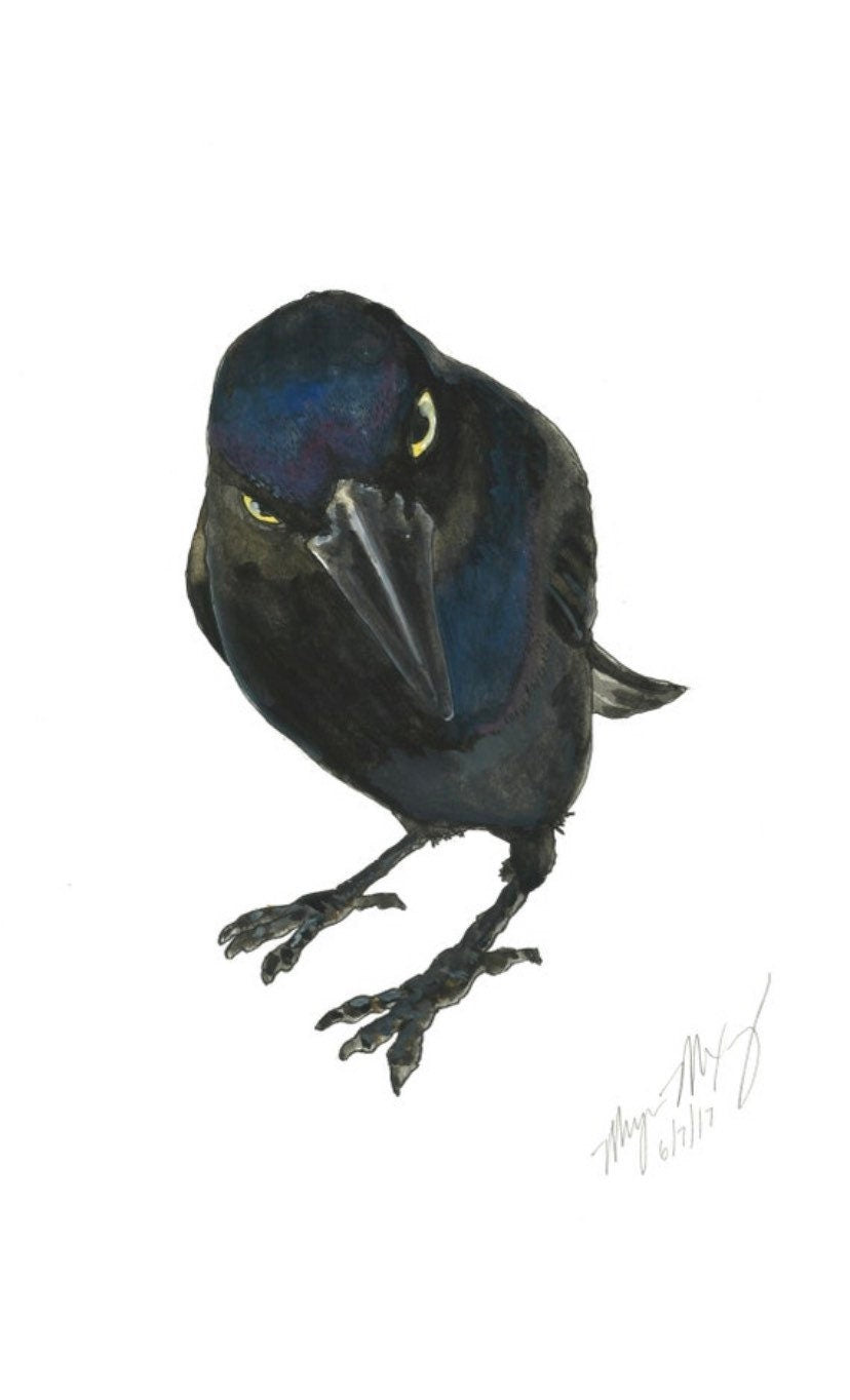 Seriously Crow Watercolor - Opened Edition 5x7 Signed Print on Cotton Paper