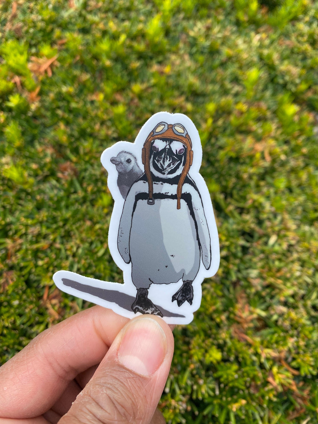 DinDim and Dunn Penguin Sticker