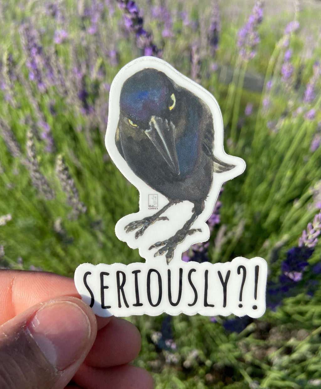 Seriously Crow Vinyl Sticker