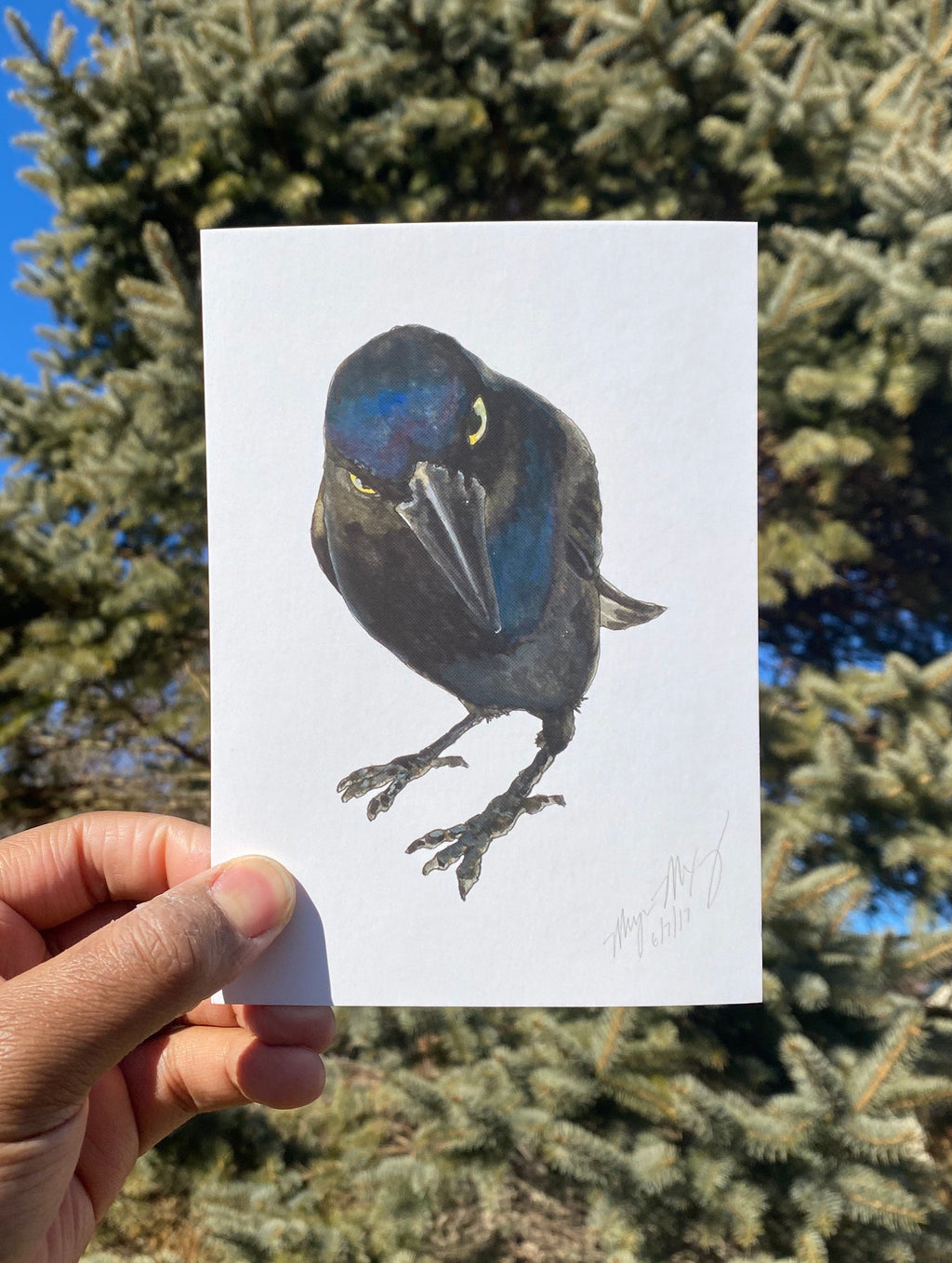 Seriously Crow Watercolor - Opened Edition 5x7 Signed Print on Cotton Paper