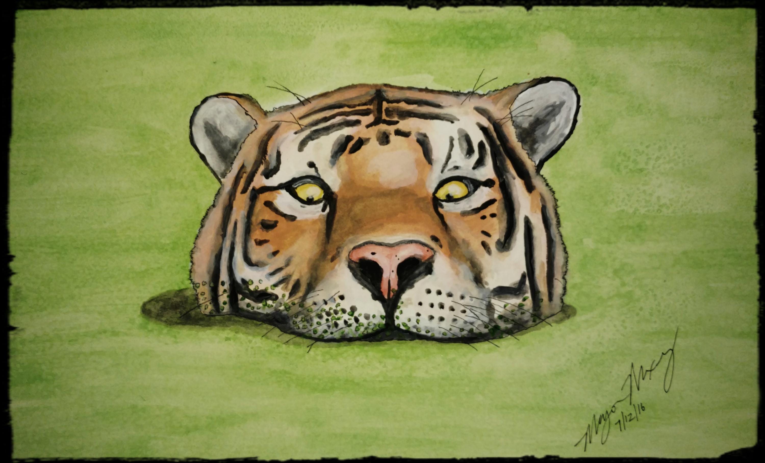 Tiger Pond Watercolor - Opened Edition 5 x 7 Signed Print