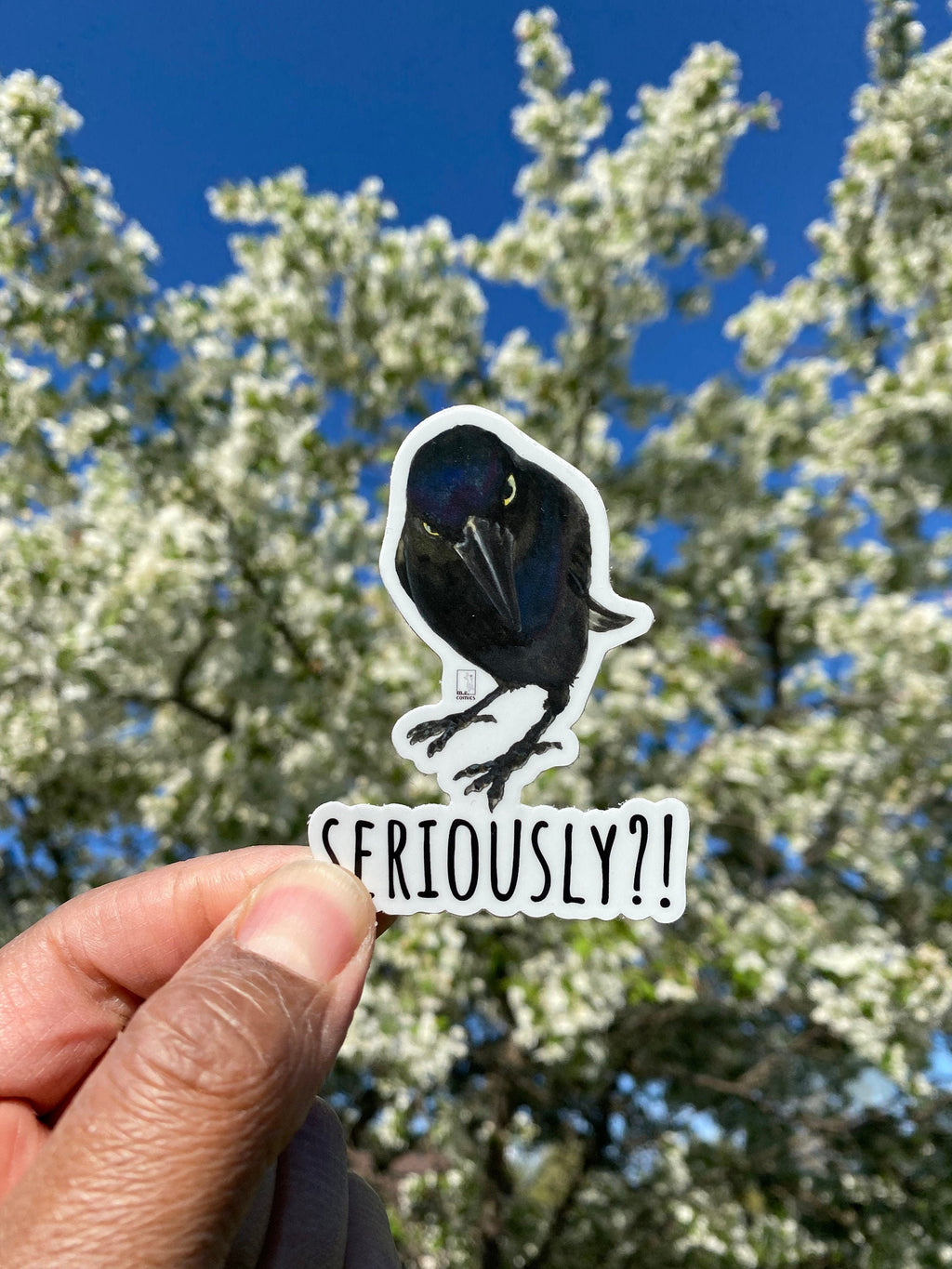 Seriously Crow Vinyl Sticker