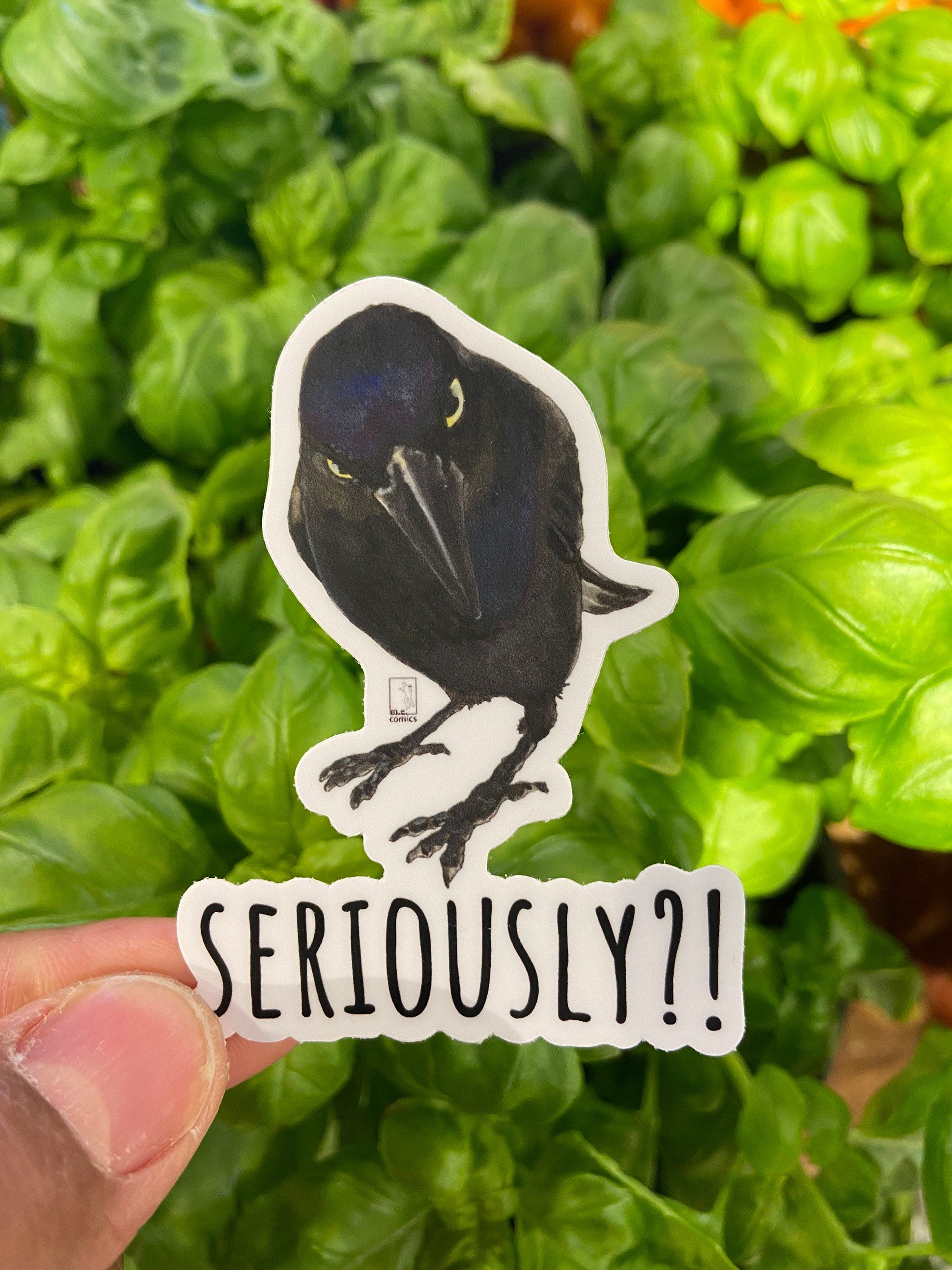 Seriously Crow Vinyl Sticker