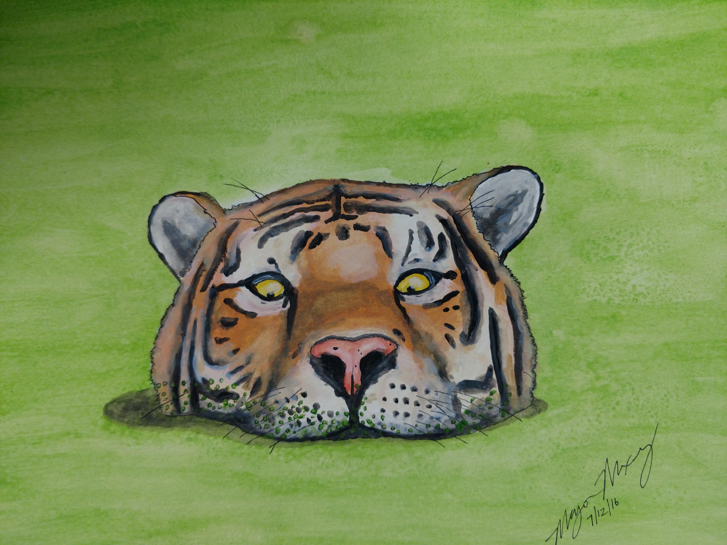 Tiger Pond Watercolor - Opened Edition 5 x 7 Signed Print